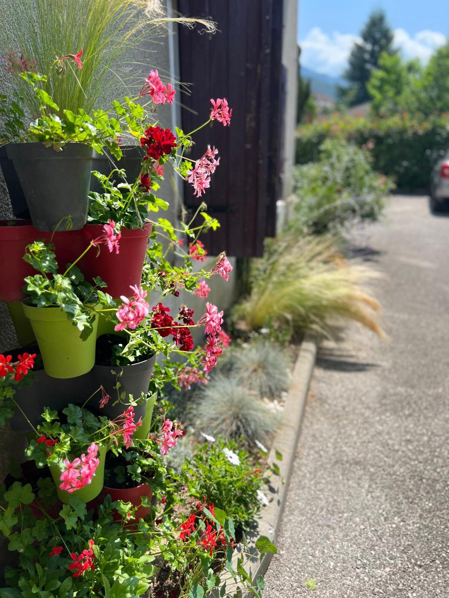 La Branche Du Cerisier Daire Annecy Dış mekan fotoğraf